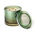 Illume Hinoki Sage Statement Glas