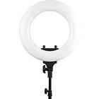 Wistream Halo 300 Light