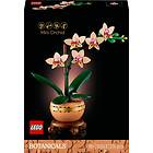 LEGO Botanical Collection 10343 Miniorkidé