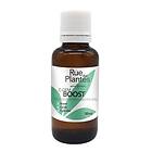 Rue Des Plantes Macérat De Bourgeon C-Gem Boost Bio Gemmothérapie 30 Ml