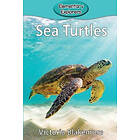 Sea Turtles