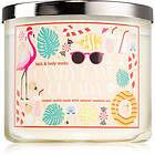 Bath & Body Works Candy Cane Colada doftljus 411g