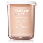 DW Home Text Himalayan Sea Salt doftljus 425g