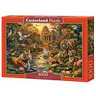 Castorland Pussel Tigers Paradise, 1000 bitar