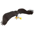 Rep Pals, Eagle