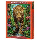 Castorland Pussel Leopard in the Wild, 2000 bitar