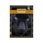 Panther