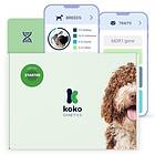 Koko Genetics DNA- för hundar Starter (Raser och egenskaper rapporter) Uppgraderingar utan kostnad