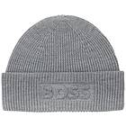 Boss Alogo 