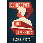 Blindspot in America