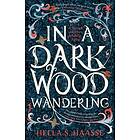In a Dark Wood Wandering
