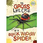 The Gross Life Cycle of a Black Widow Spider