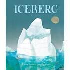 Iceberg