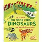 Big Book of Big Dinosaurs