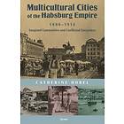 Multicultural Cities of the Habsburg Empire, 1880-1914