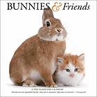 Bunnies & Friends Square Wall Calendar 2025 (häftad, eng)