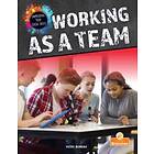 Working as a Team