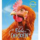 Lifecycles: Egg to Chicken