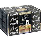 Cesar Megapack Country Ragout 24 X 150g  