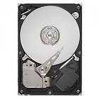 HP 413852-001 80GB