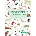 Insekter og småkryp i hagen