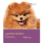 Pomeranian Dog Expert