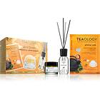 Teaology Kombucha Tea Energizing Set Presentförpackning 3 st. female