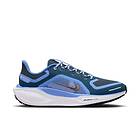 Nike Pegasus 41 GORE-TEX (Dam)