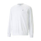Puma X Ptc Midweight Crewneck (Herr)