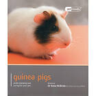 Guinea Pig Pet Friendly (häftad, eng)