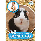 My Pet Guinea Pig (häftad, eng)