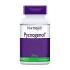 Natrol Pycnogenol 50 mg 60 kapslar