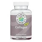 Fitness Pharma Yummy Gummies by Collagen 60 st