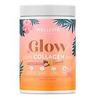 Wellexir Glow Beauty Drink Passion Fruit 360g