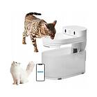 Catlink Pure 3