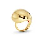 Edblad Gallant Ring Maxi Guld M 17,5