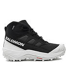 Salomon Crosstrak WP (Herr)