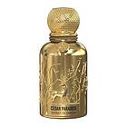 Auraa Desire Cedar Paradise edp 100ml