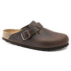 Birkenstock Boston Habana (Unisex)