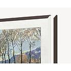 TCL FRM552A-O Twilight Elm