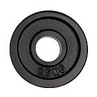 Hammer Sport Weight disc 30 mm 0,5kg