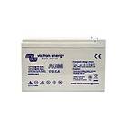 Victron Energy AGM Super Cycle Batteri 12V/15Ah (Faston-tab 6,3x0.8mm)