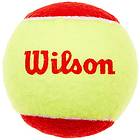 Wilson Starter Easy (12 bollar)