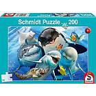 Schmidt : Underwater Friends (200)