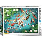 Eurographics : Koi Fish (1000)