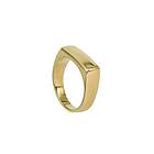 Arock TIM Ring Guld 19,5