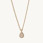 Lily and Rose Bianca Halsband Guld Crystal (41161)