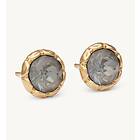 Lily and Rose Miss Victoria Örhängen Guld Marble (62809)