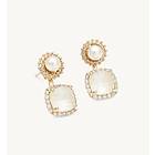 Lily and Rose Colette Örhängen Milky Cream (Guld) 61248