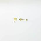 Örhängen 18K Guld 11666-2YCZ 2 mm